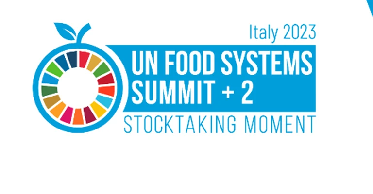 The UN Food Systems Summit +2 Stocktaking Moment