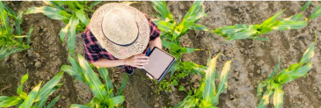 1st Quarterly Meeting Agri-Food Initiative