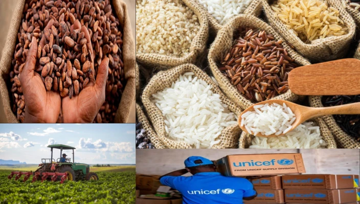 Alliance and UNICEF to Ease Delivery of Critical Supplies Alliance and FAO Sign Letter of Intent
