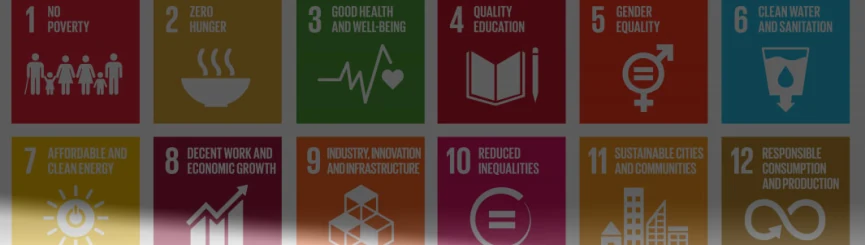 پنج روش سياست‌هاي مالياتي براي كمك به تحقق اهداف جهاني سازمان ملل متحد