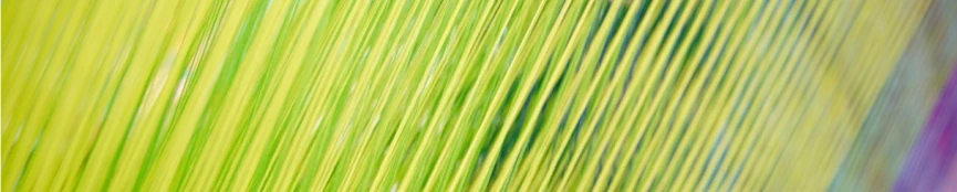 سازمان‌هاي پيشرو جهاني با يك‌ديگر متحد مي‌شوند تا درخواست كسب و كار براي حفاظت و ترميم طبيعت را ارتقا دهند